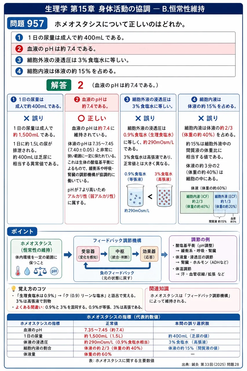 鍼灸 第33回(2025) 問題28|ホメオスタシスについて正しいのはどれか。 解説図